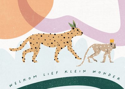 Melolelo | Geboortekaart | lief klein wonder