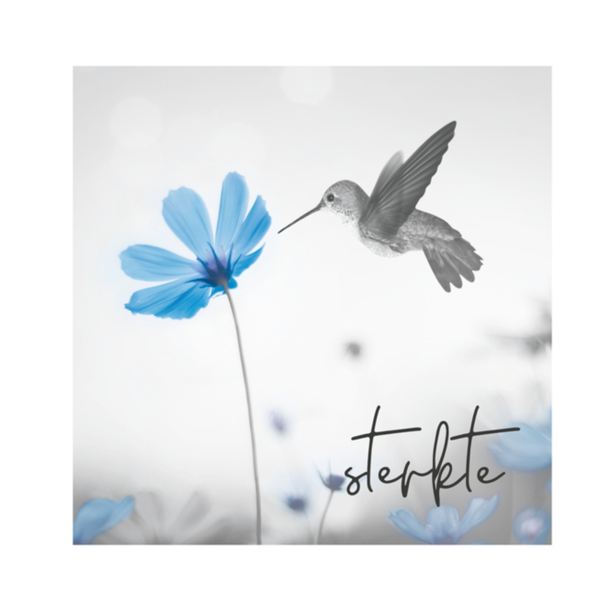 Beterschapskaart Vogel Vierkante Kaart Paperclip