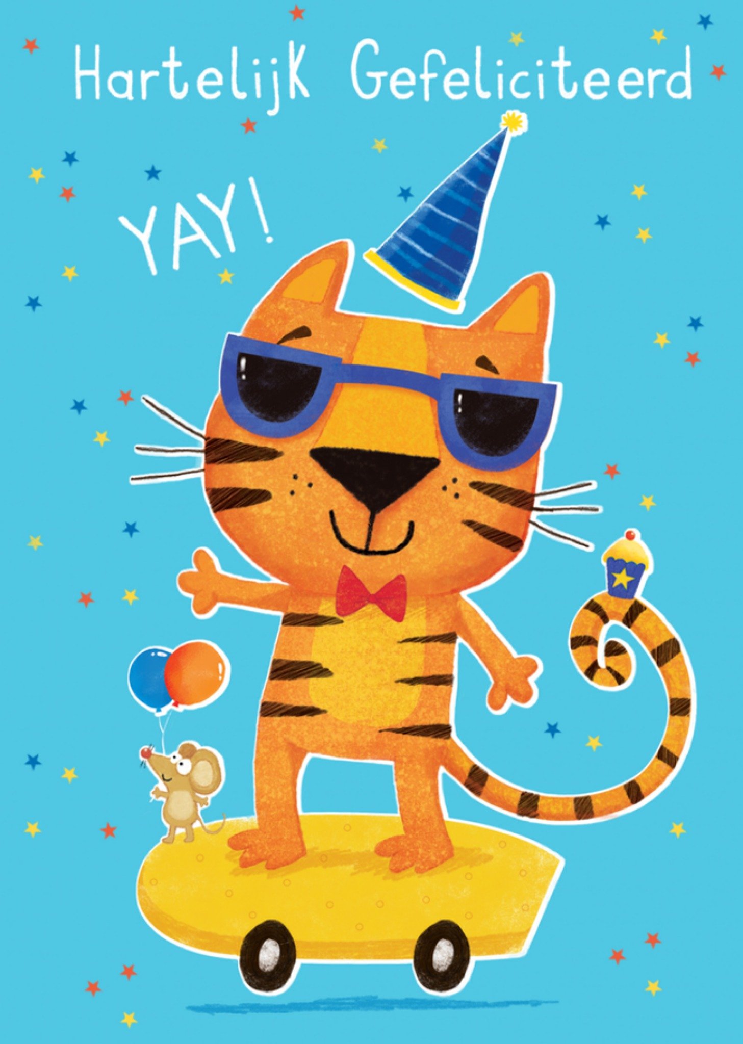 Abacus Verjaardagskaart tijger Kaart Abacus Cards