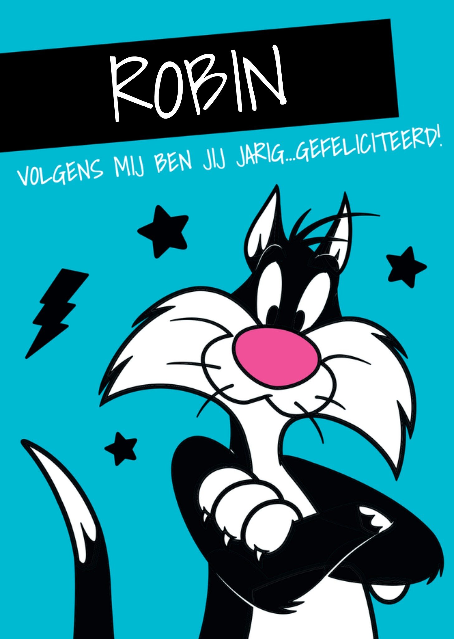 Warner Bros Verjaardagskaart Sylvester Kaart Looney Tunes