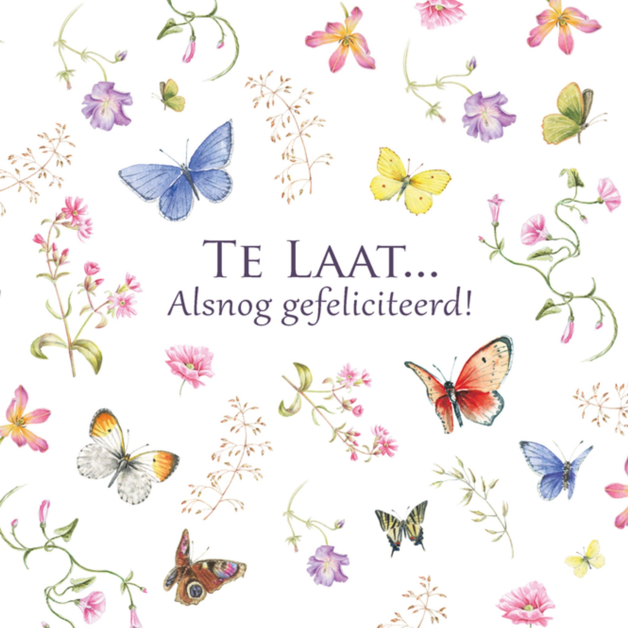 Verjaardag Bloemen Te laat Vierkante Kaart Janneke Brinkman