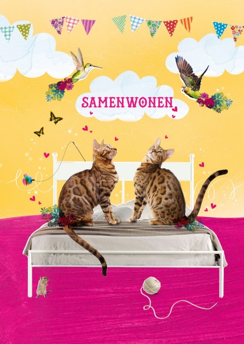 Twee katten samen