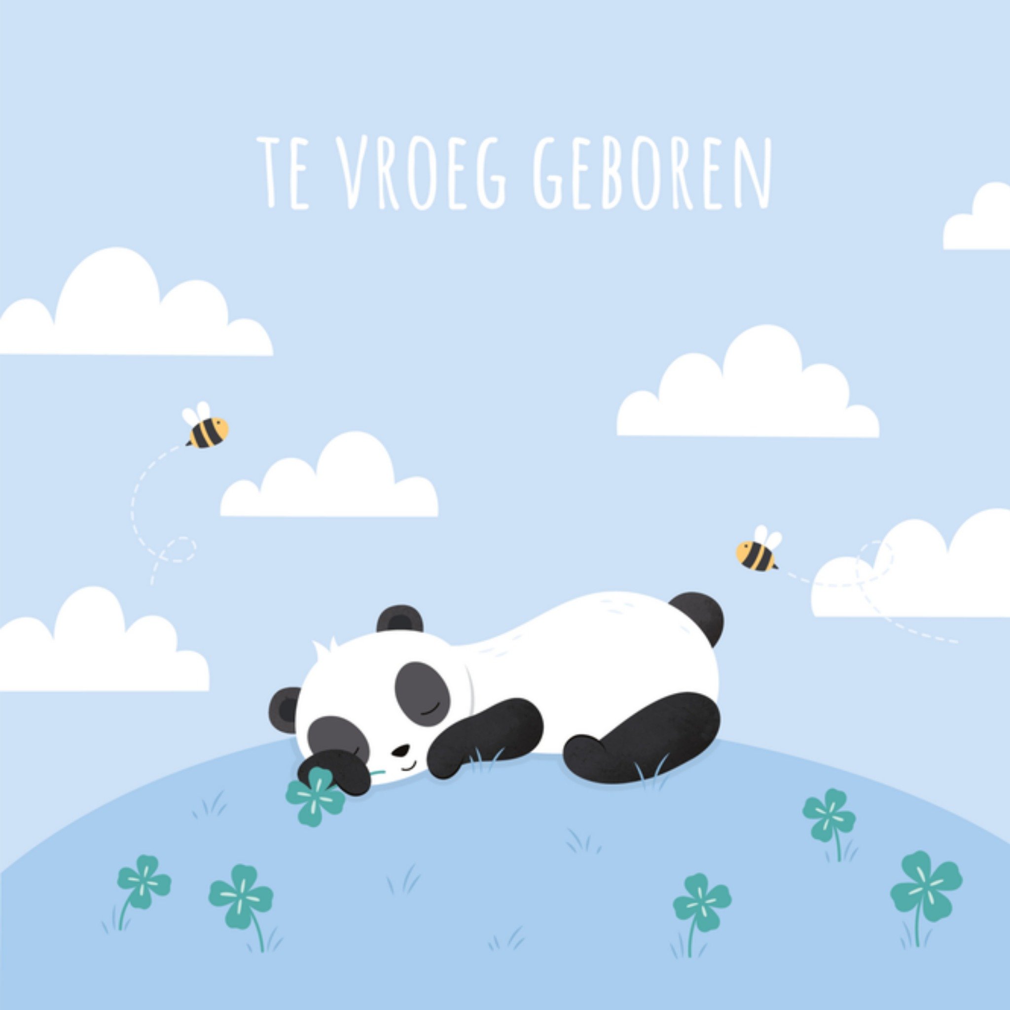 Kleine Twinkeltjes Geboortekaart panda Vierkant