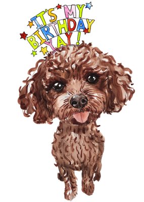 Marie Bodie | Verjaardagskaart | It’s My Birthday Yay