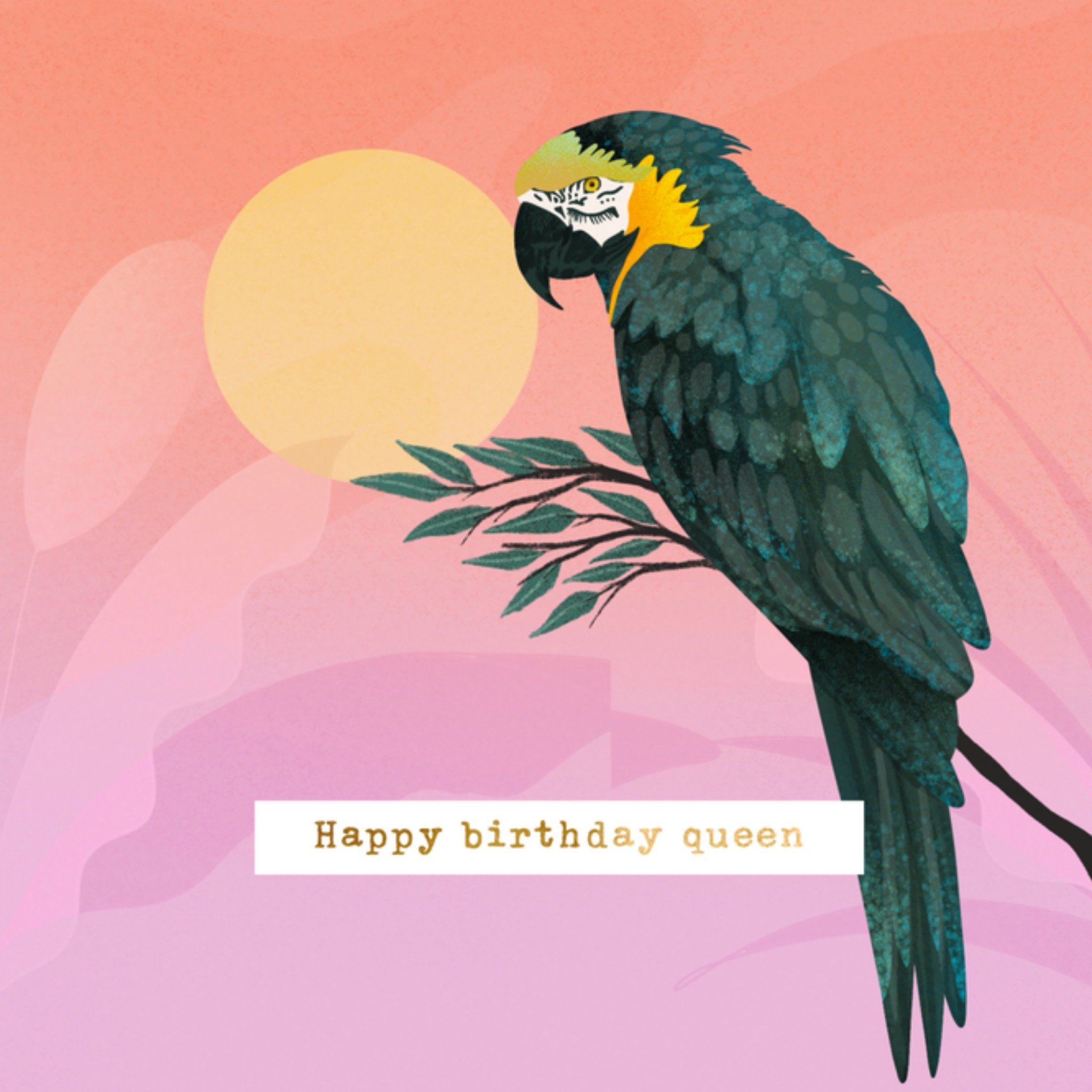 Greetz Verjaardagskaart Queen Illustratie Vierkant