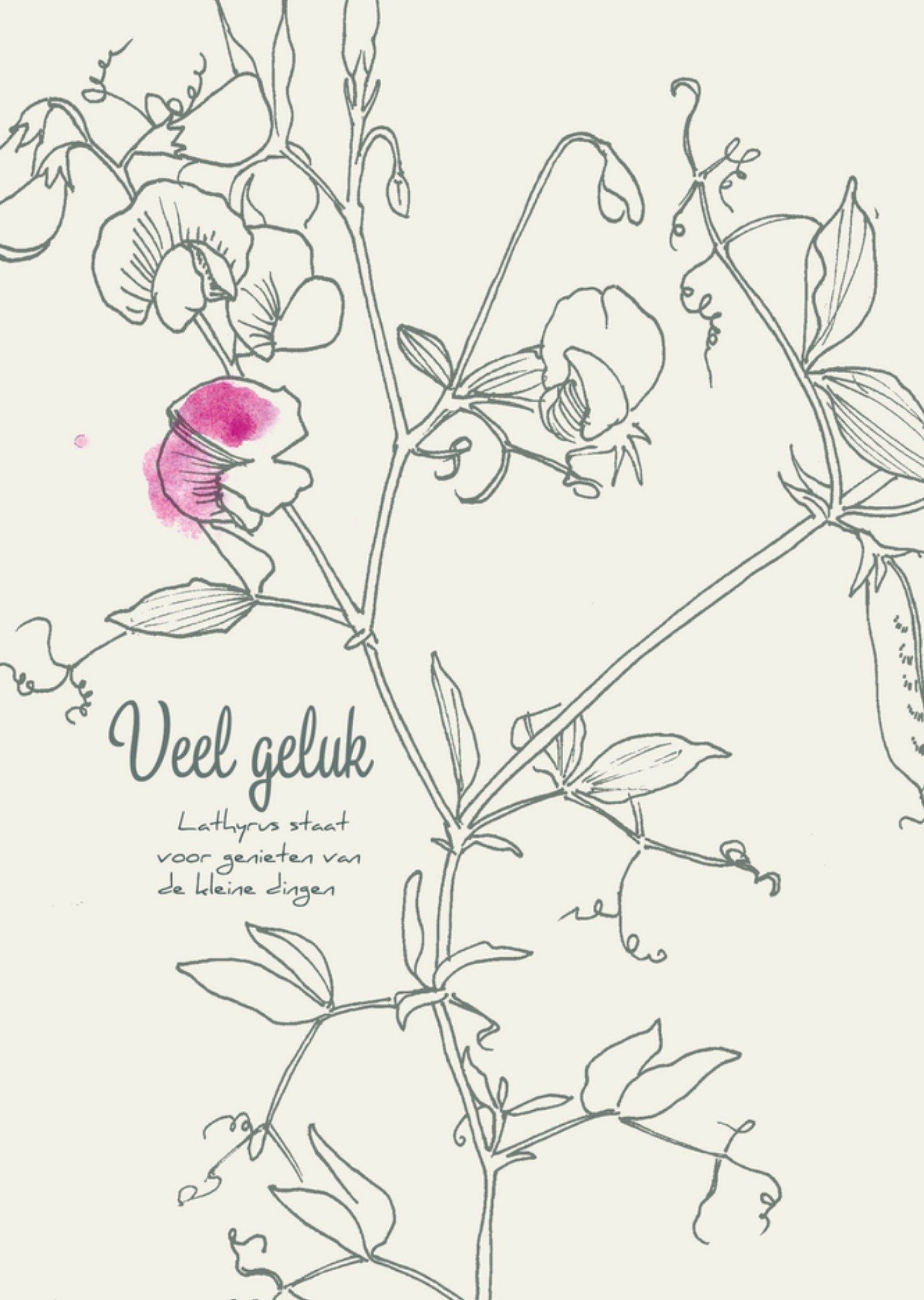 Succeskaart Lathyrus voor genieten van de kleine dingen Kaart Veer Moon