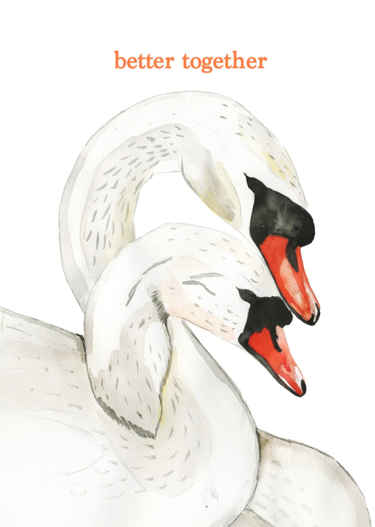 Valentijnskaart Zwanen Kaart Marie Bodié