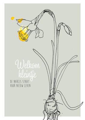 Veer&Moon | Geboortekaart | Narcis staat voor nieuw leven
