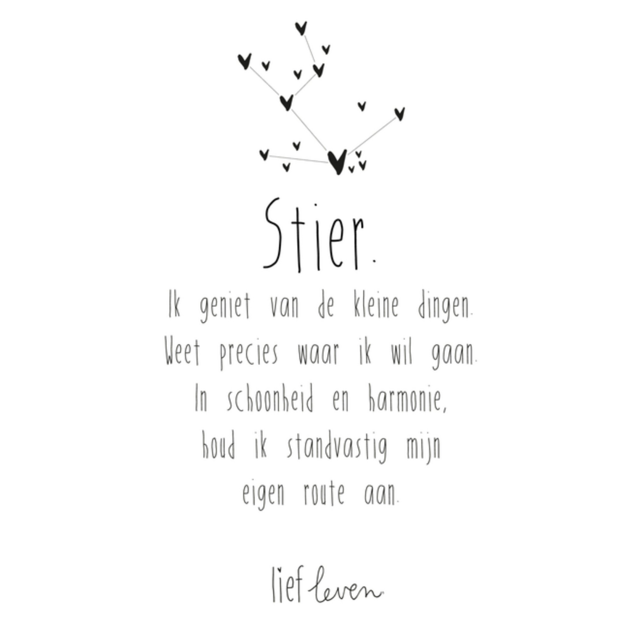 Sterrenbeeld kaart Stier Vierkante Kaart Lief Leven