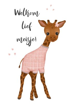 Tsjip | Geboortekaart | Welkom lief meisje