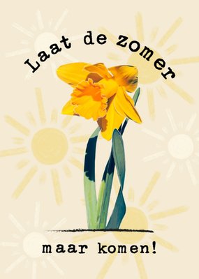 Greetz | Zomertijd | narcis | zomer
