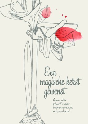 Veer&Moon | Kerstkaart | Magische kerst | Amaryllis