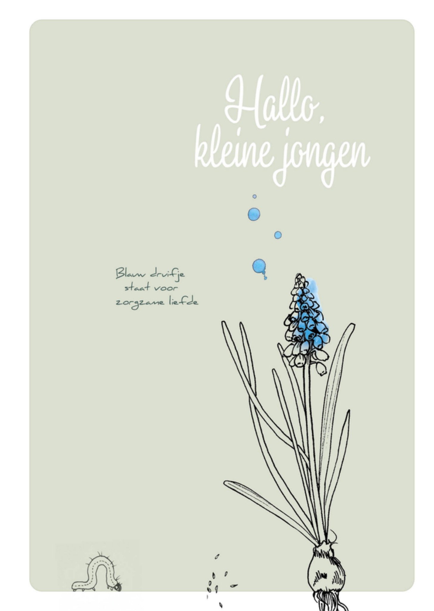 Geboortekaart blauw druifje voor zorgzame liefde Kaart Veer Moon