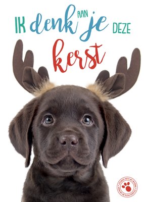Studio Pets | Kerstkaart | Denken aan
