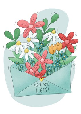 Studio Fred Illustraties | Zomaarkaart | Bloemen | Heel veel liefs