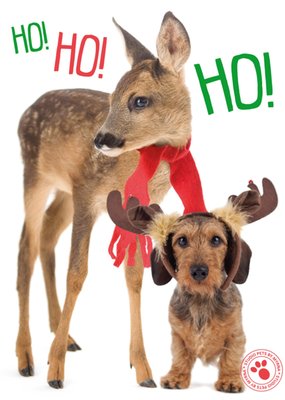 Studio Pets | Kerstkaart | hertje