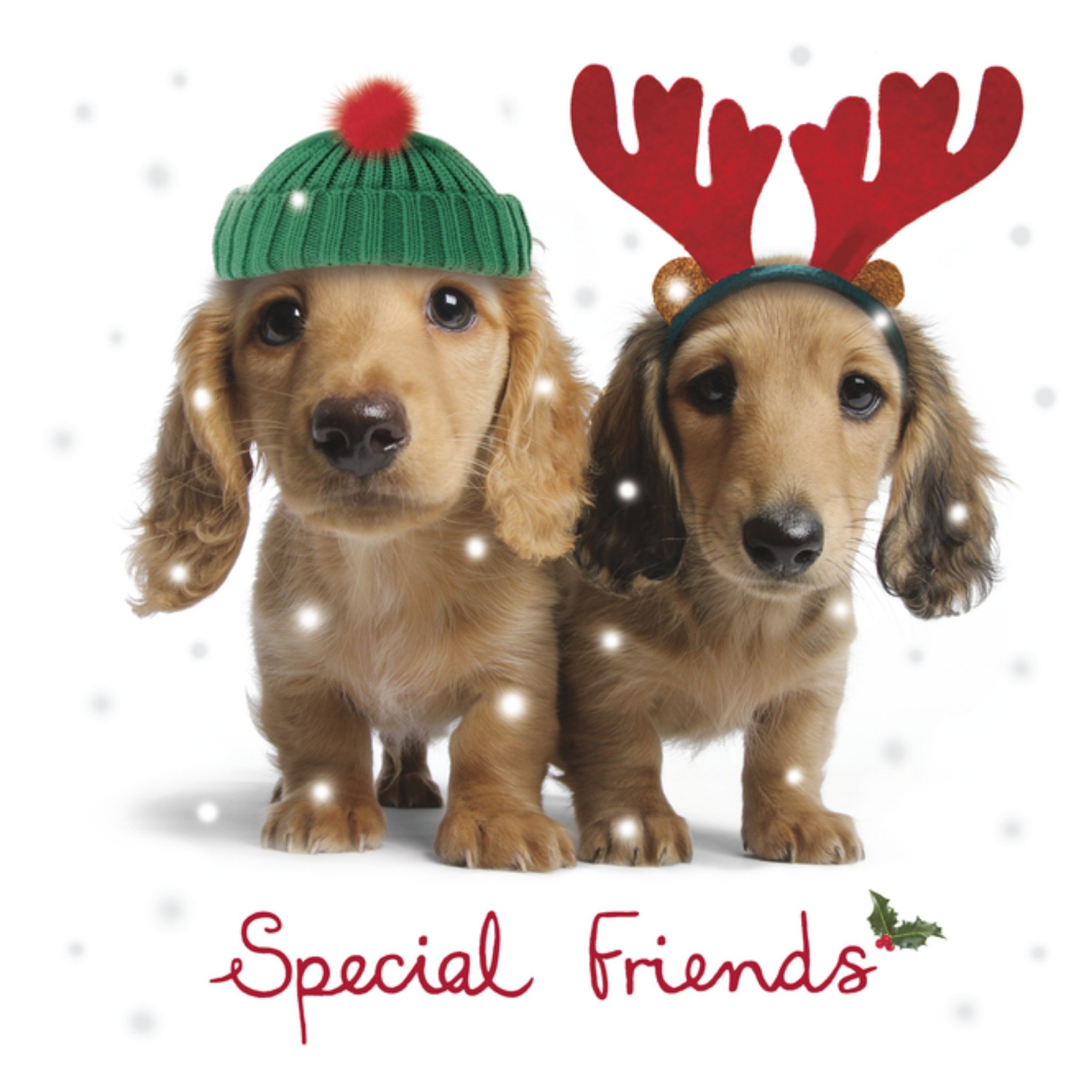 Kerstkaart Hondjes Special Friends UK Greetings