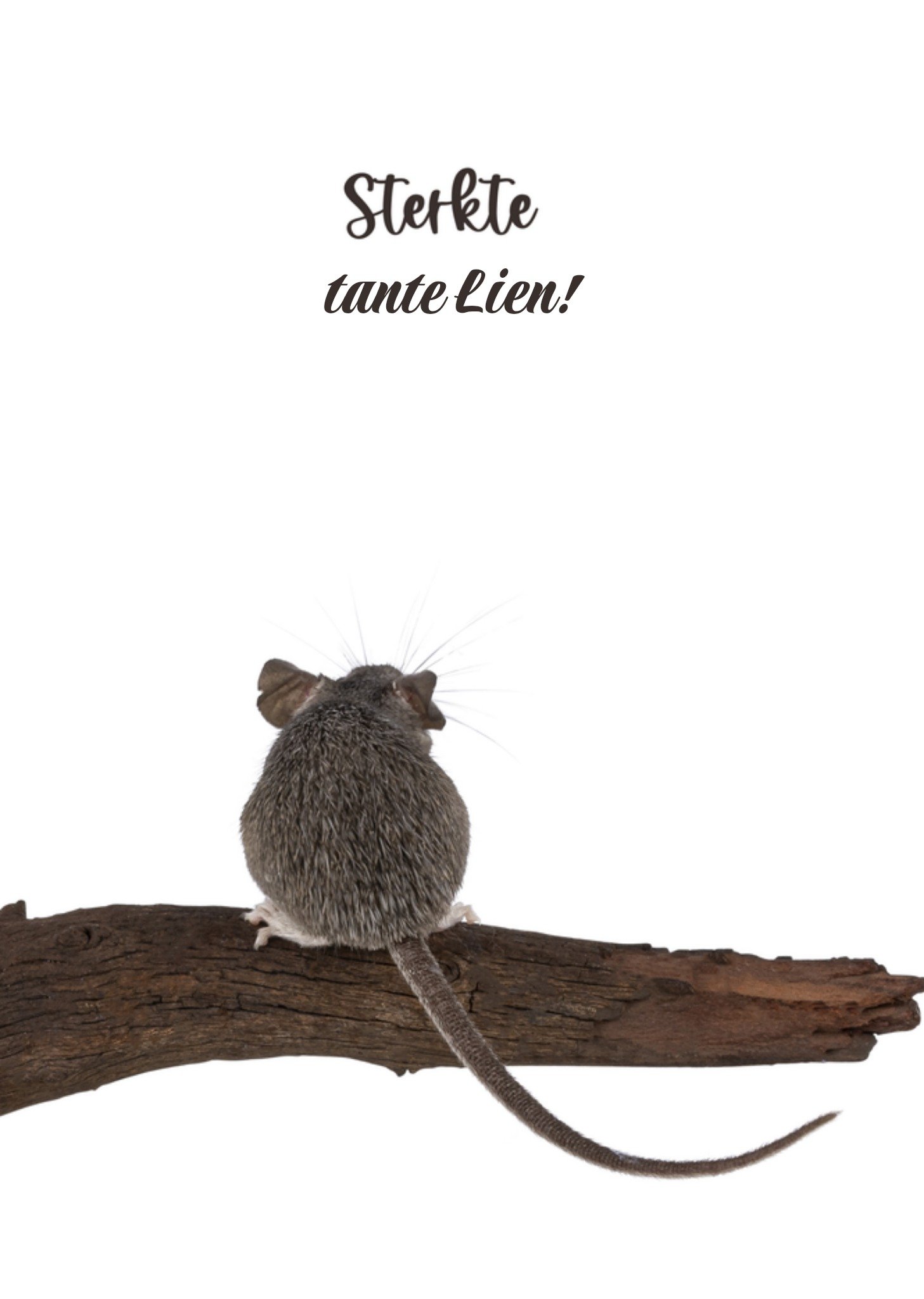 Sterkte kaart tante dieren Kaart Catchy Images