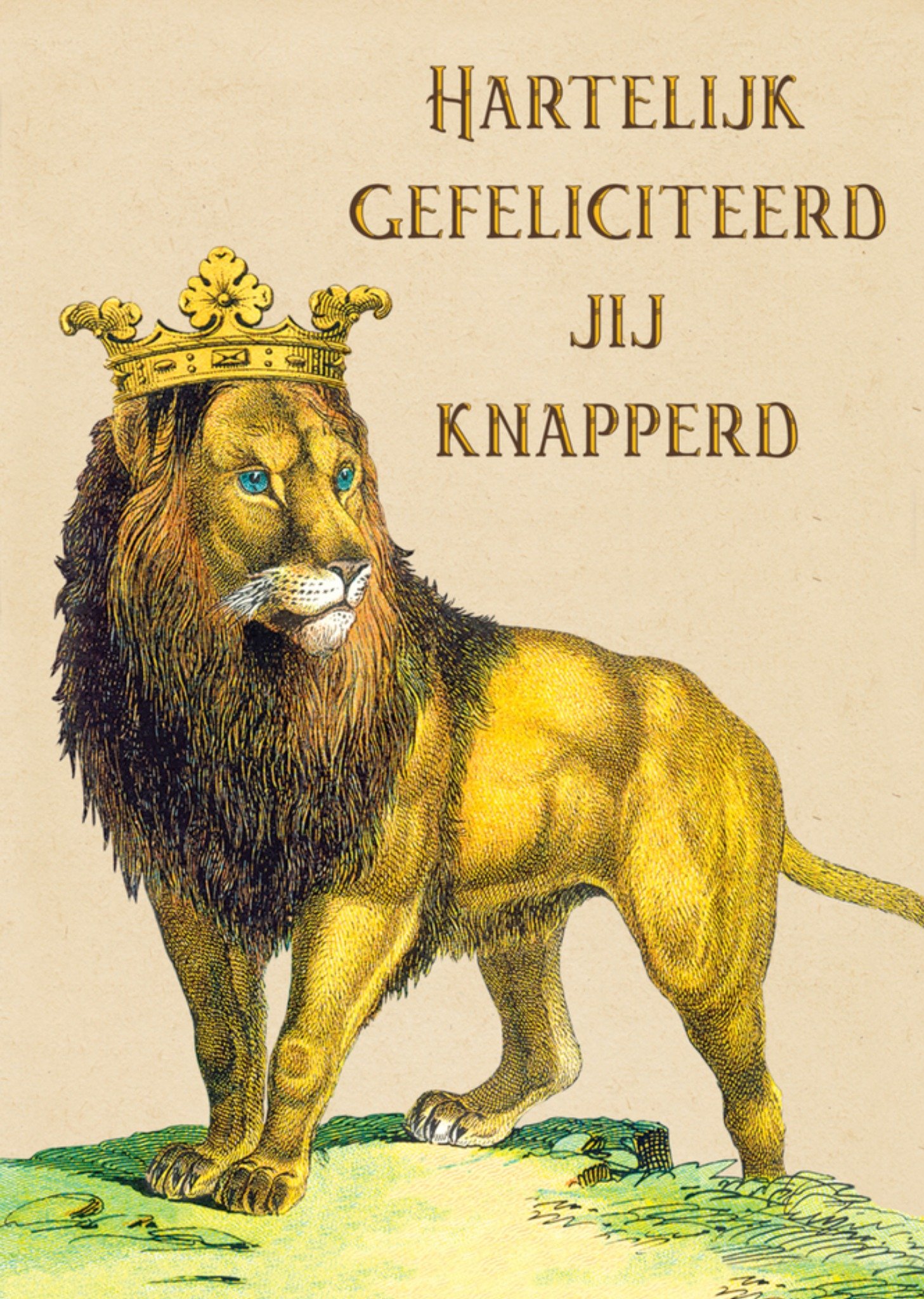 Verjaardagskaart leeuw Kaart Pigment