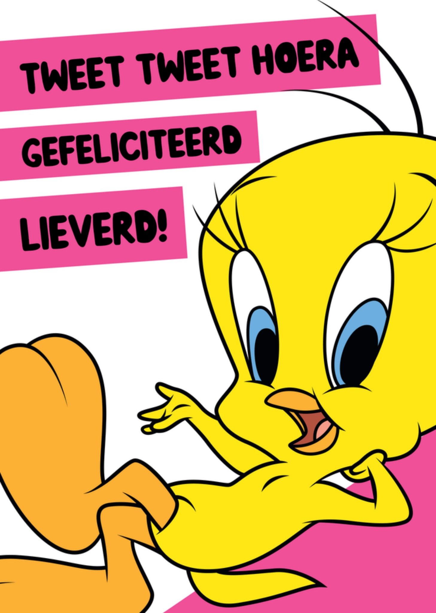 Warner Bros Verjaardagskaart Tweety Kaart Looney Tunes