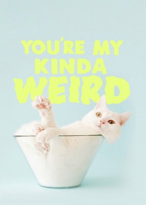 Jolly Awesome | Verjaardagskaart | kat
