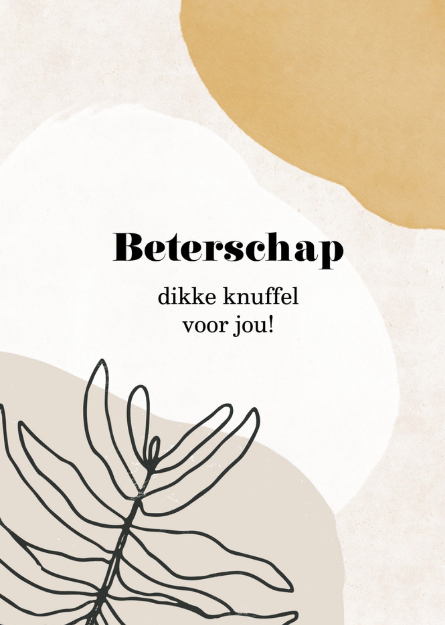 Beterschapskaart knuffel Greetz