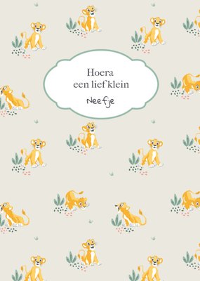 Hoera Een Lief Klein Neefje Geïllustreerd Leeuwenwelp Geboorte Kaart