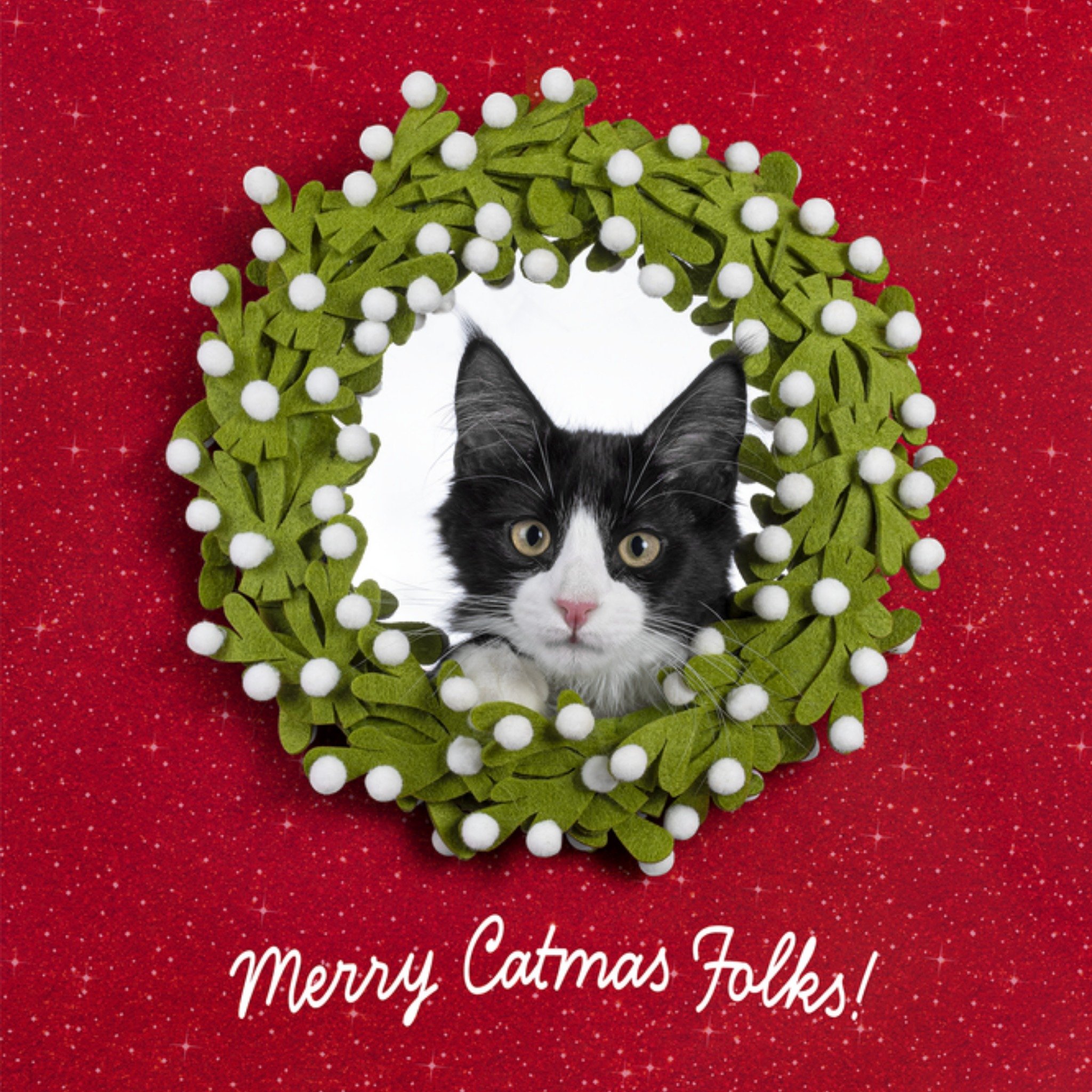 Catchy Kerstkaart Merry Catmas Folks Catchy Images