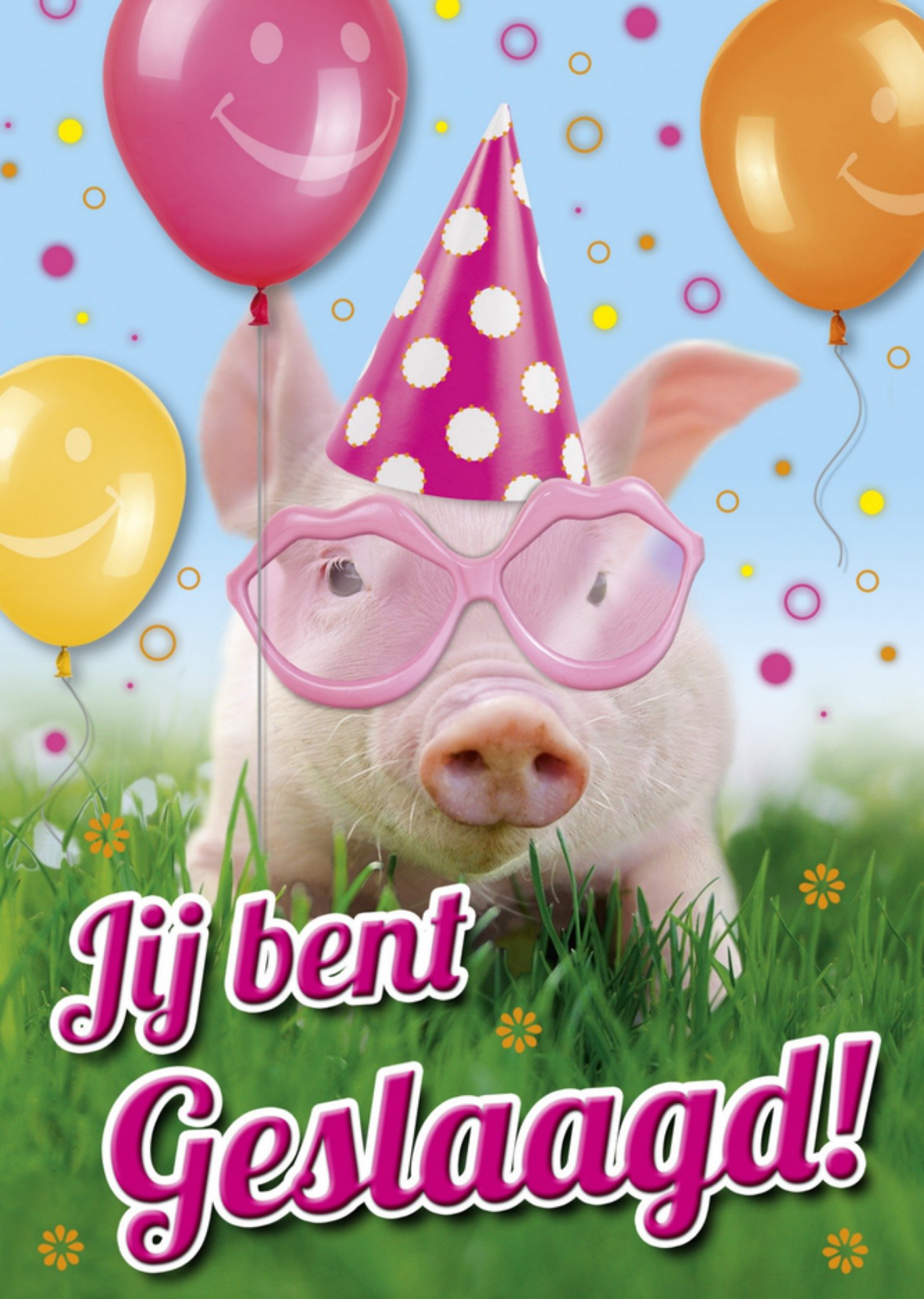 Geslaagd kaart varken Kaart TMS