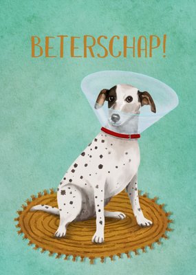 Petit Konijn | Beterschapskaart | Hond