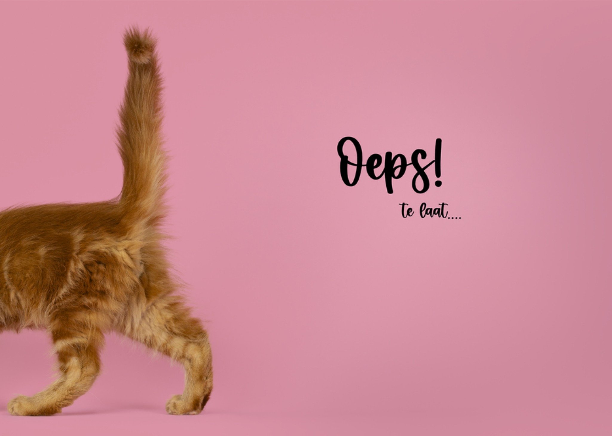 Verjaardagskaart Te laat Kaart Catchy Images