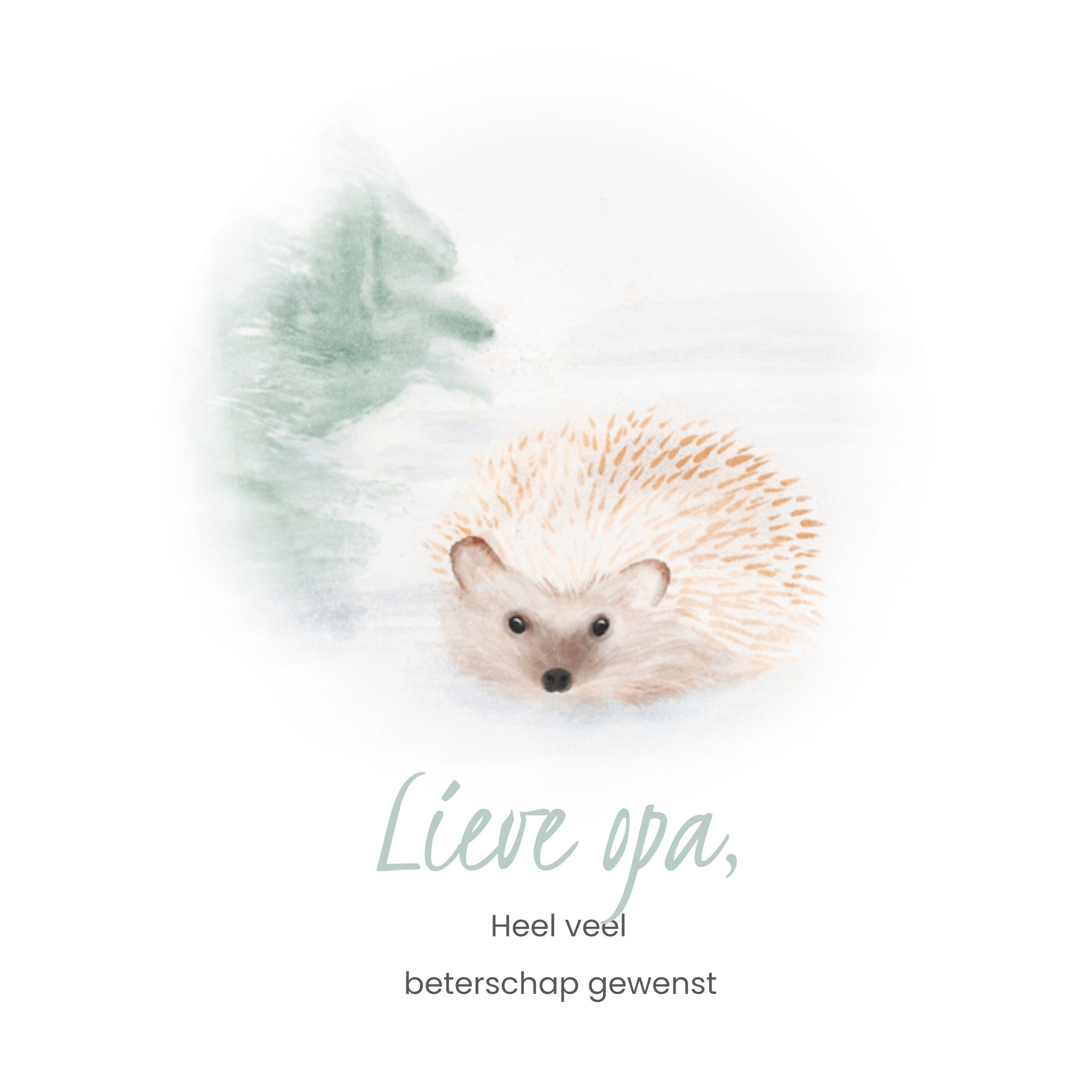 Greetz Beterschapskaart Lieve opa Vierkant