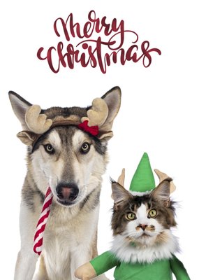 Catchy Images | Kerstkaart | dieren