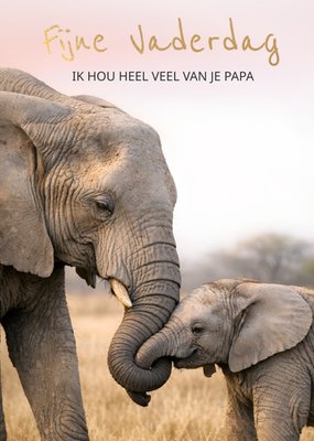 Ik Hou Heel Veel Van Je Papa Olifanten Vaderdag Kaart