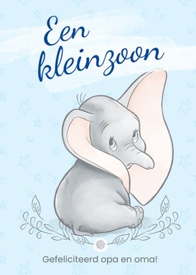 Een Kleinzoon Geïllustreerd Olifant Opa En Oma Geboorte Kaart