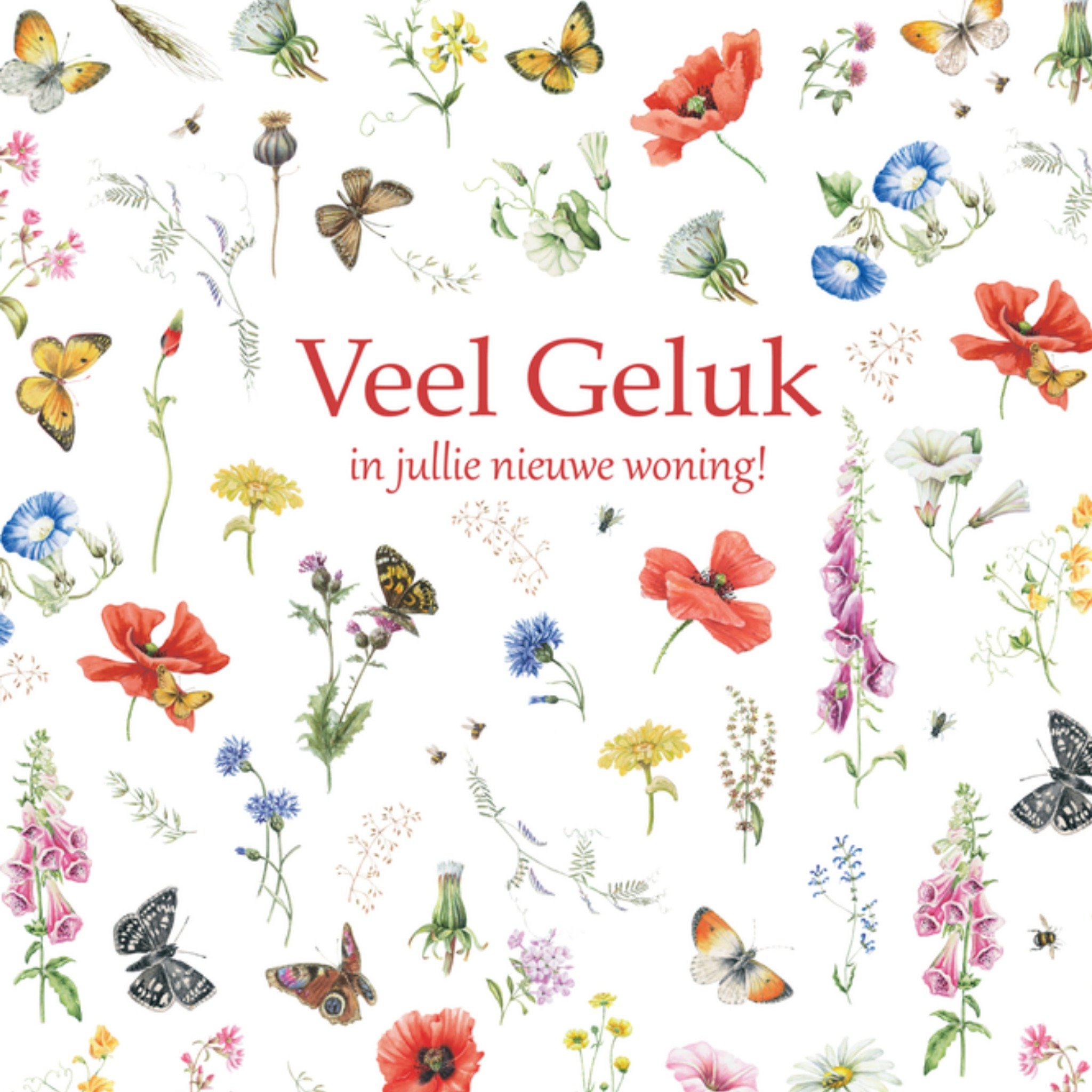 Nieuwe woning kaart Vlinders Vierkante Kaart Janneke Brinkman