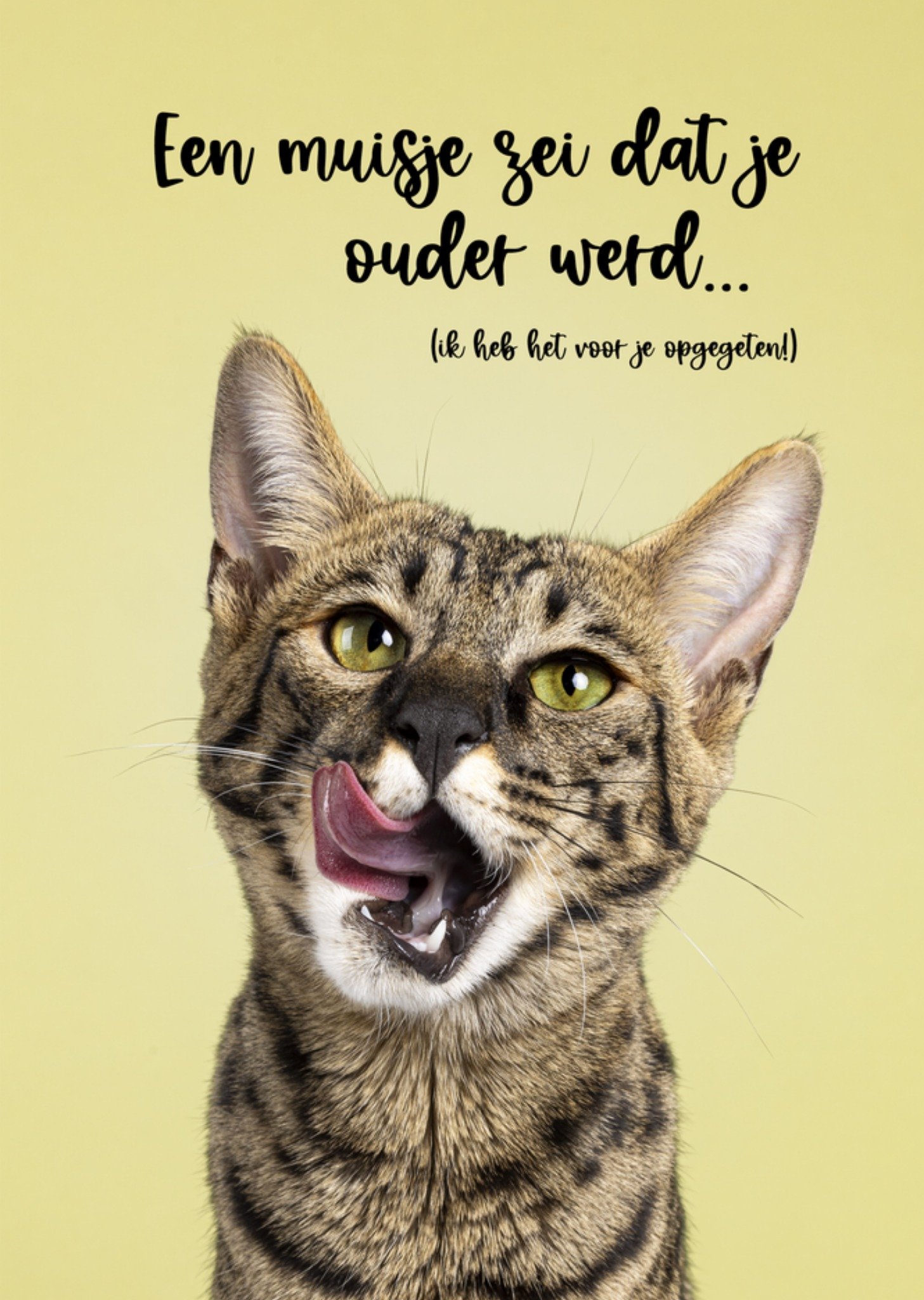 Verjaardagskaart Grappige kat Kaart Catchy Images