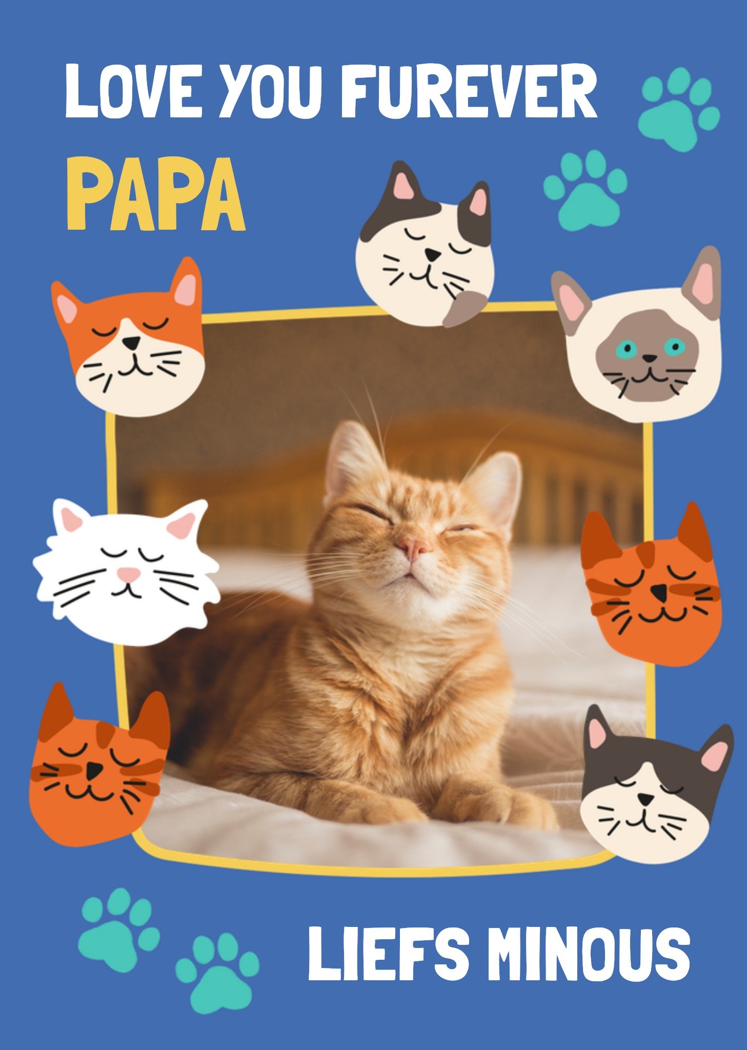 Vaderdagkaart - Love You Furever Cat Papa