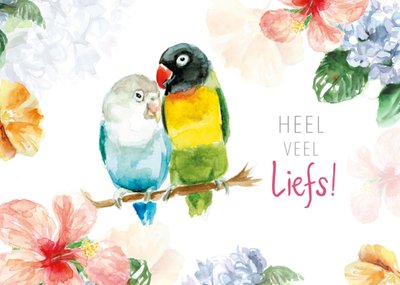 Michelle Dujardin | Zomaar kaart | Heel Veel Liefs