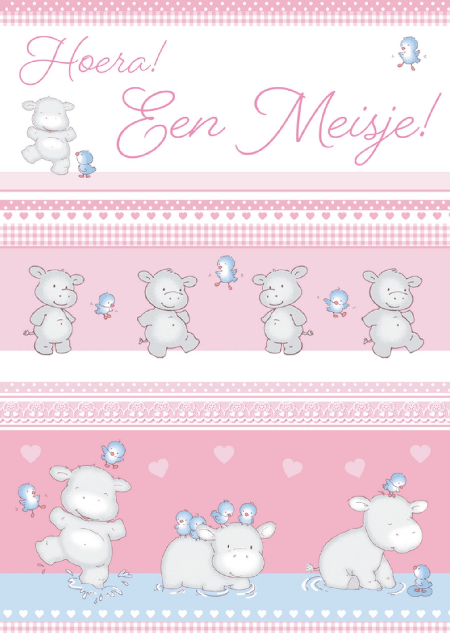 Geboortekaart Meisje Roze Kaart TMS