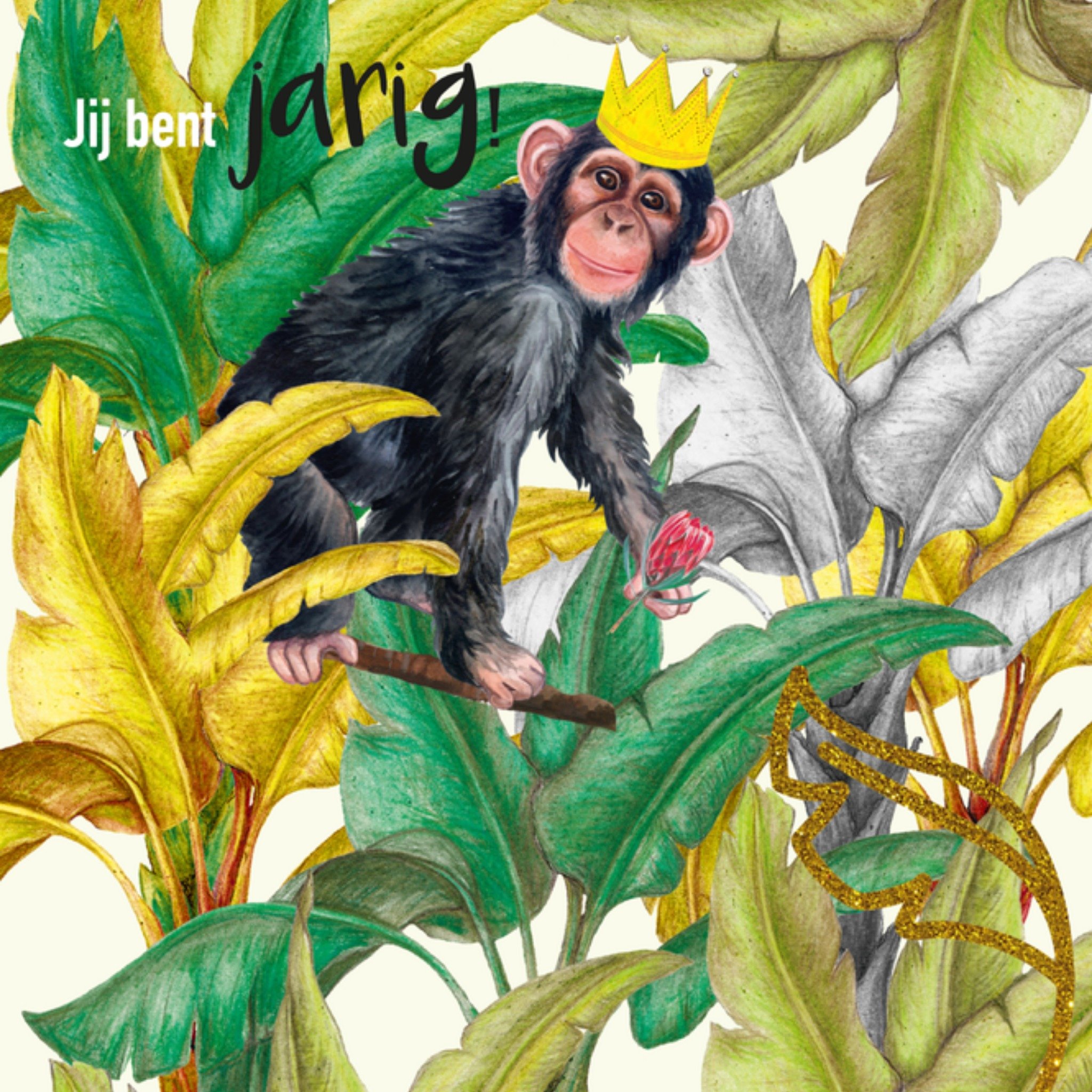 Verjaardagskaart Jij bent jarig Vierkante Kaart Paperclip