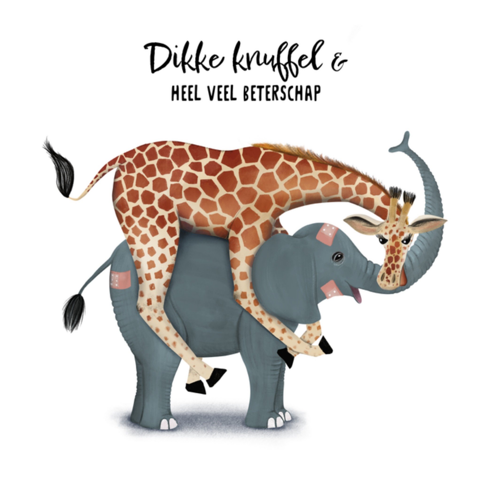 Patricia Hooning Beterschapskaart Dikke knuffel Vierkante Kaart Fishuals