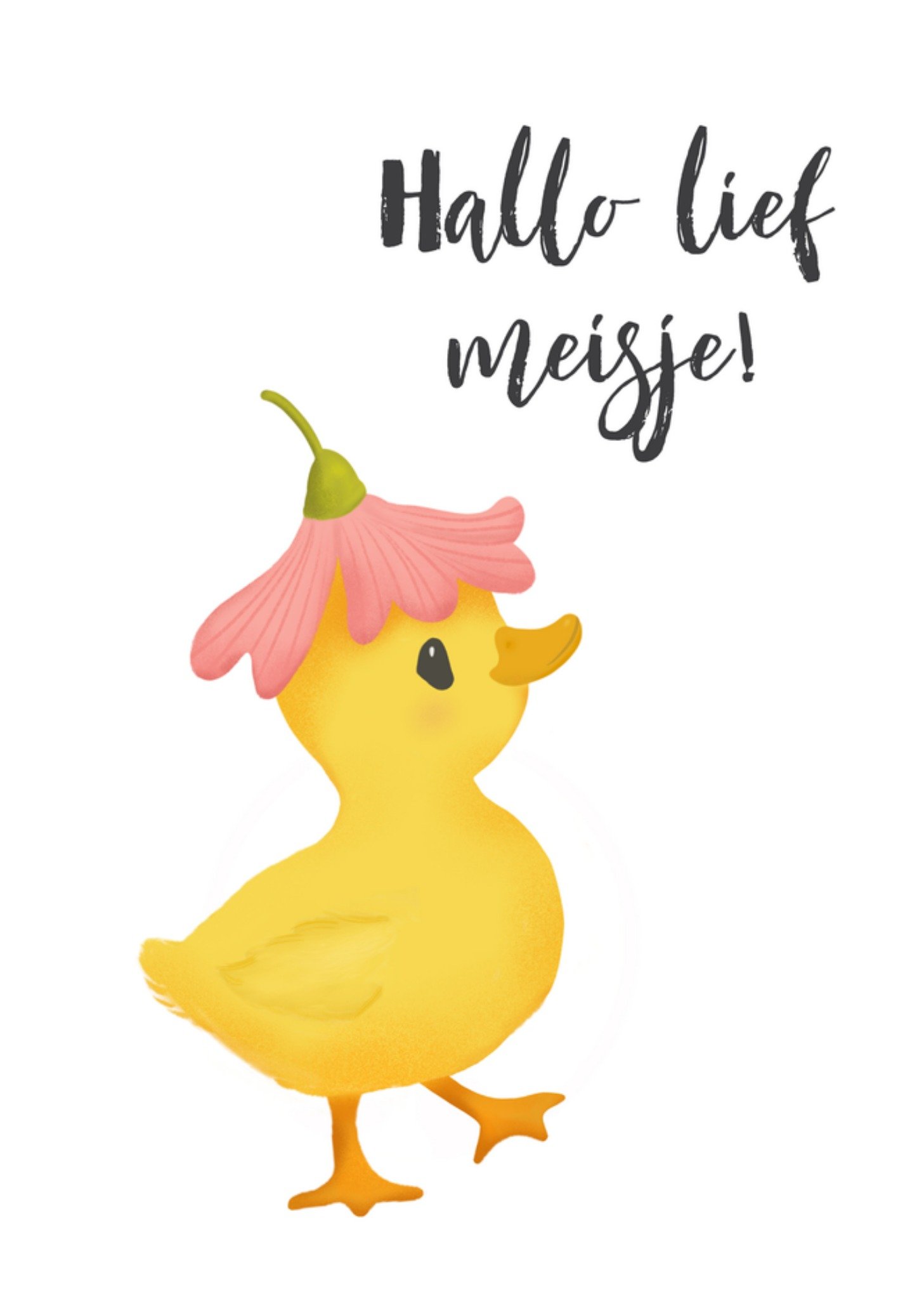 Tsjip Geboortekaart Hallo lief meisje Standard Card