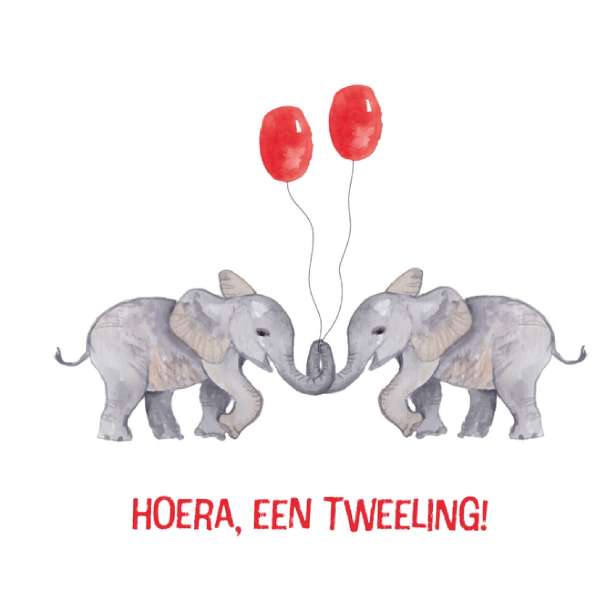 Greetz Geboortekaart tweeling olifanten Vierkant
