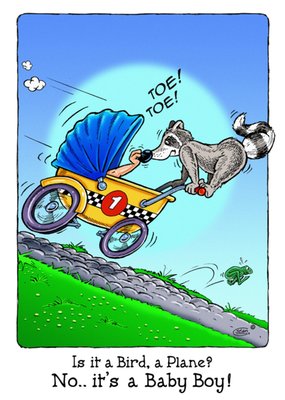 Bengels | Geboortekaart | wasbeer | illustratie