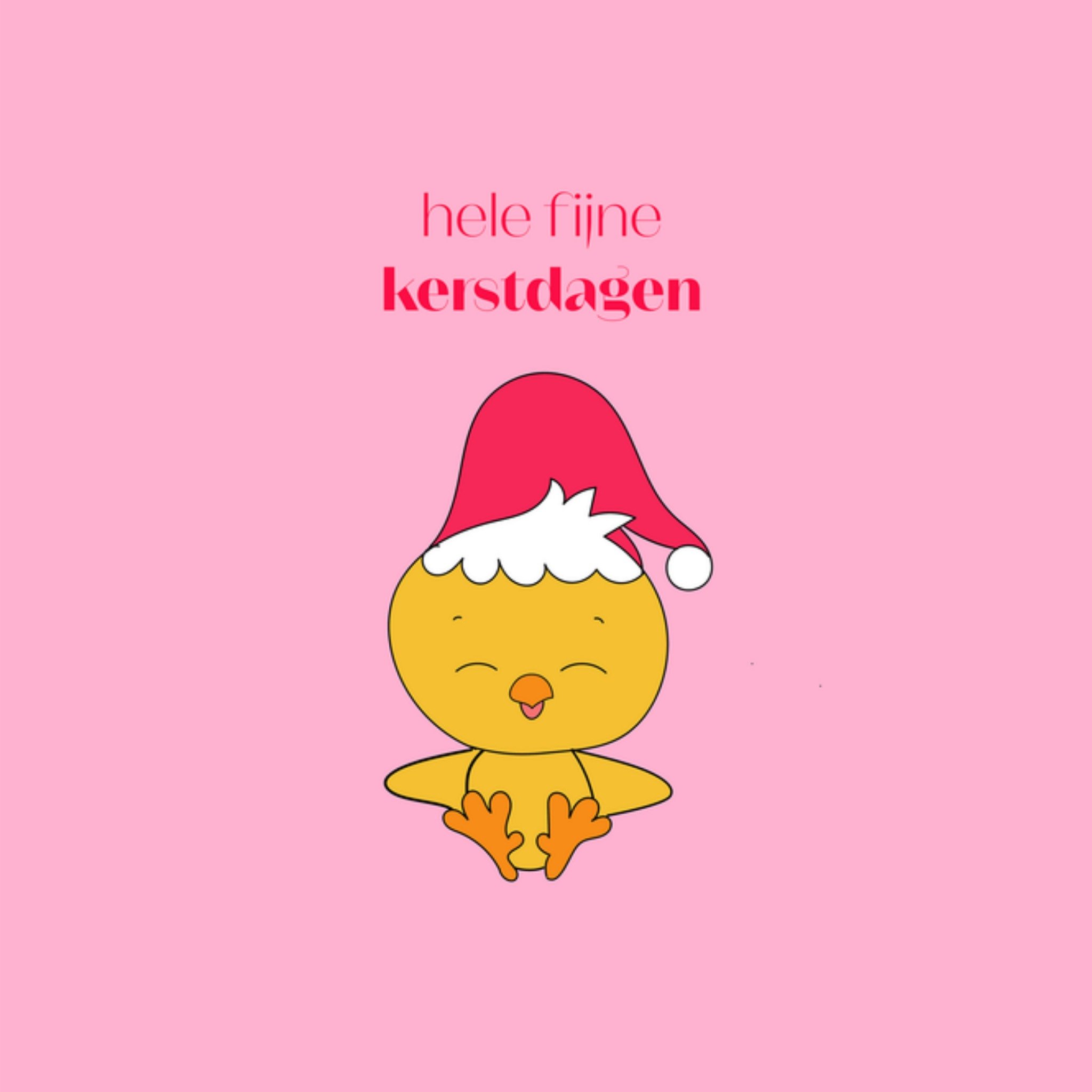 Kerstkaart Eendje Studio Marloes