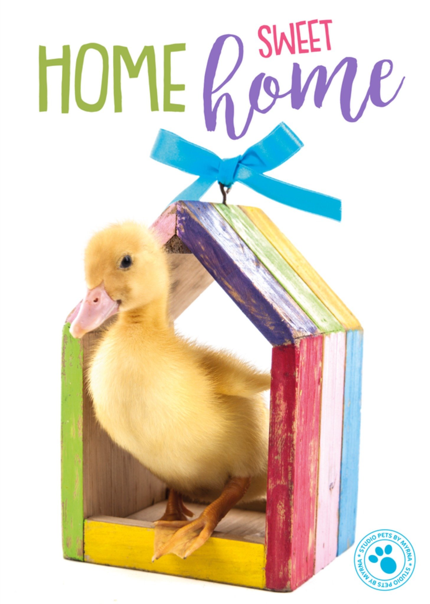Studio Pets | Uitnodiging House Warming | Kuiken | Standard Card