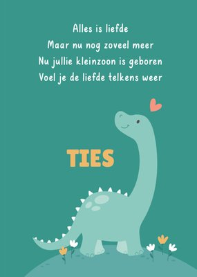 Kleine Twinkeltjes | Geboortekaart | Dino