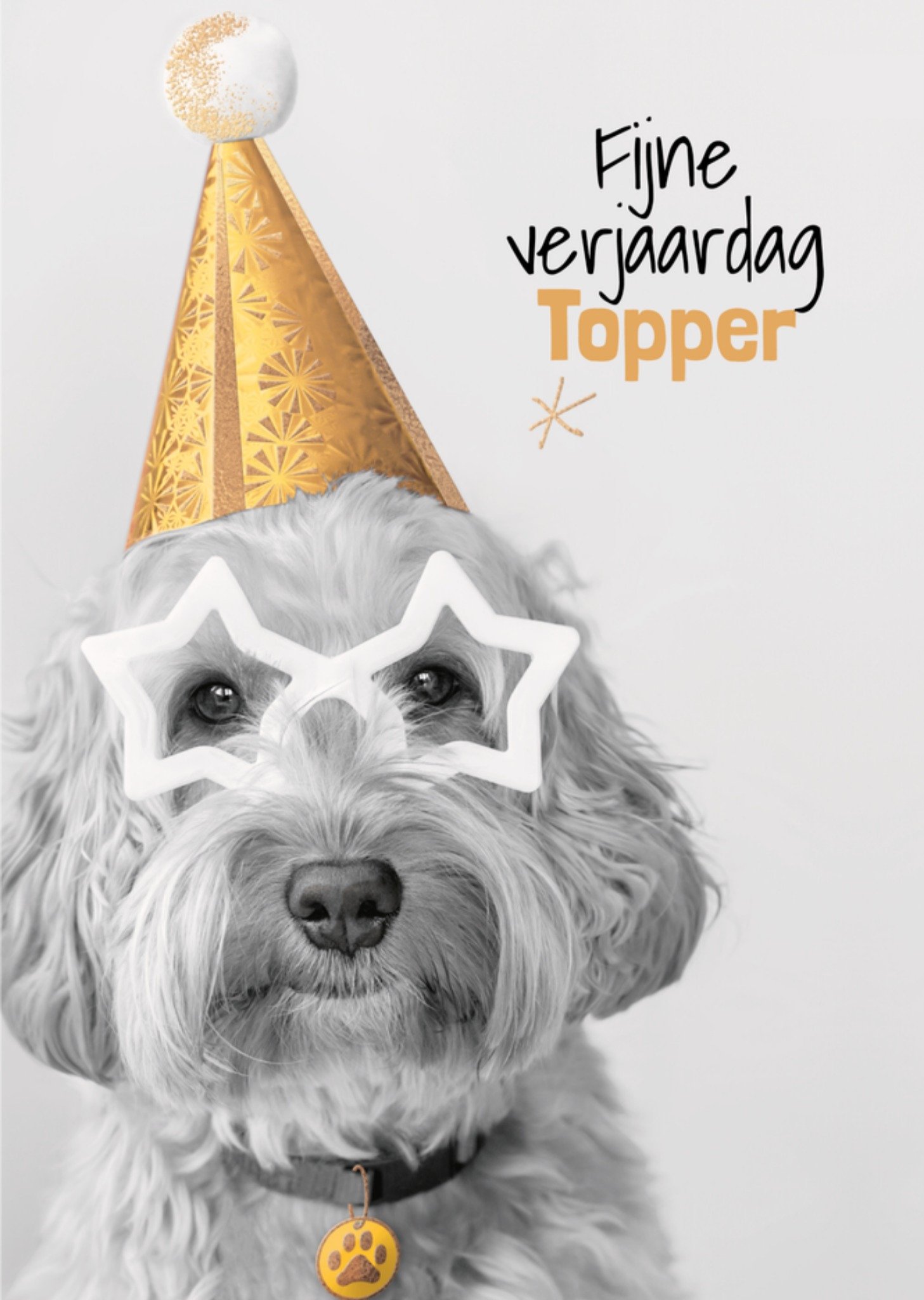 Verjaardagskaart Topper Hond Kaart TMS