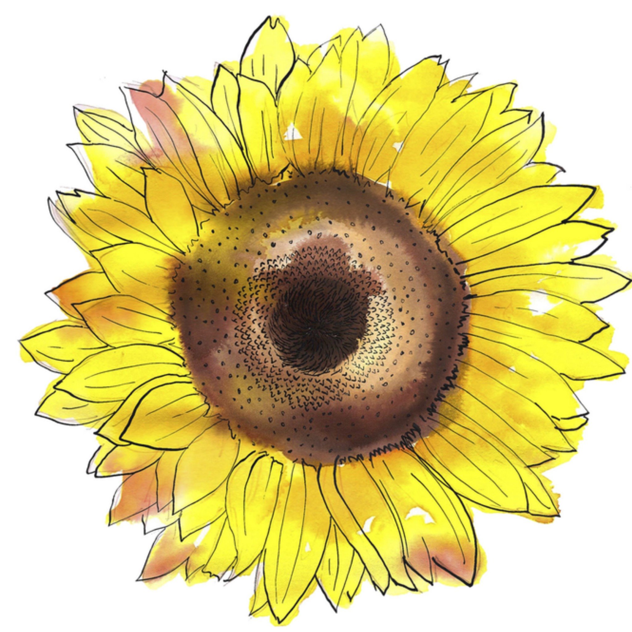 Denken aan kaart zonnebloem Vierkante Kaart Marie Bodié